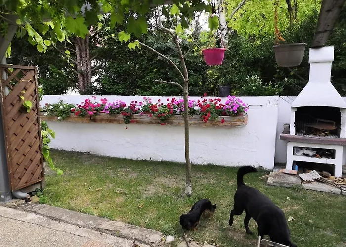 Comfortable, Family-friendly And Located Apartment Guntramsdorf